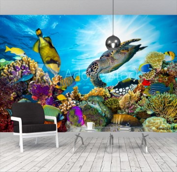 Bild på Underwater sea life coral reef panorama with many fishes and marine animals